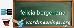 WordMeaning blackboard for felicia bergeriana
